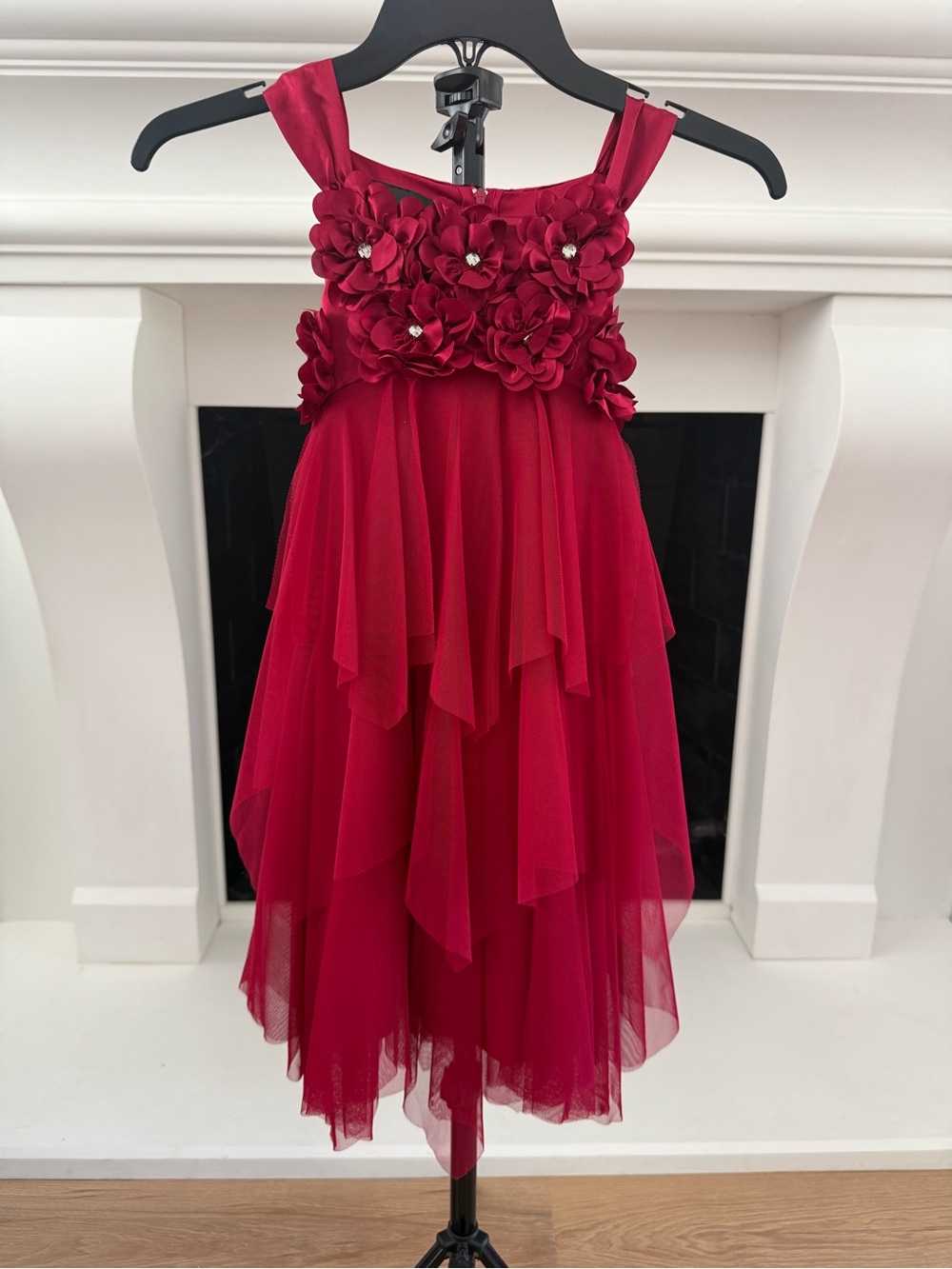 Biscotti Red Floral Tulle Party Dress for Girls- Girls 6